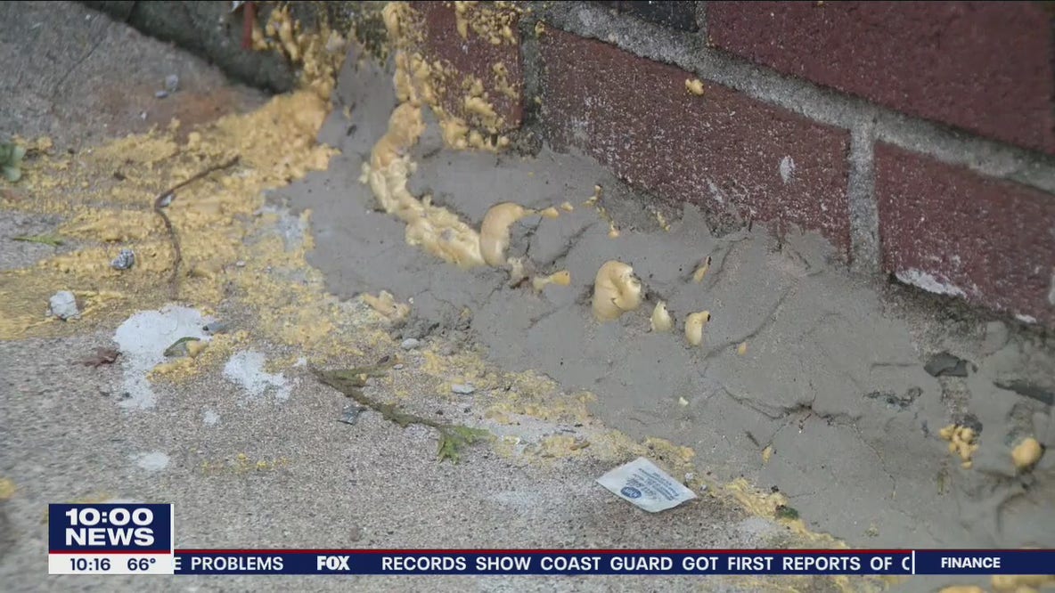 Northeast Philly residents complain of rat problem since construction began in their area